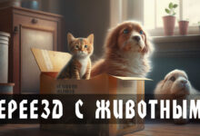 Photo of Офисный переезд с переносом архивов