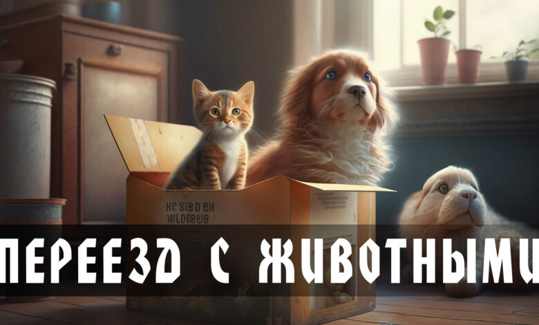 Photo of Офисный переезд с переносом архивов